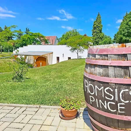 Romsics Pince - Biro Tours - Nr 219 Casa vacanze